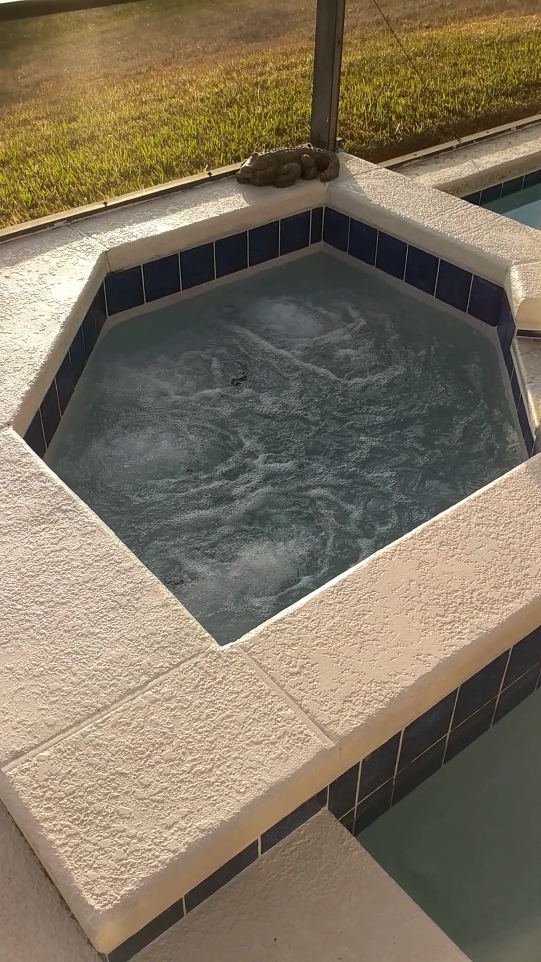 pool spa active